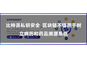 比特派私钥安全  区块链不错用于树立病历和药品溯源系统